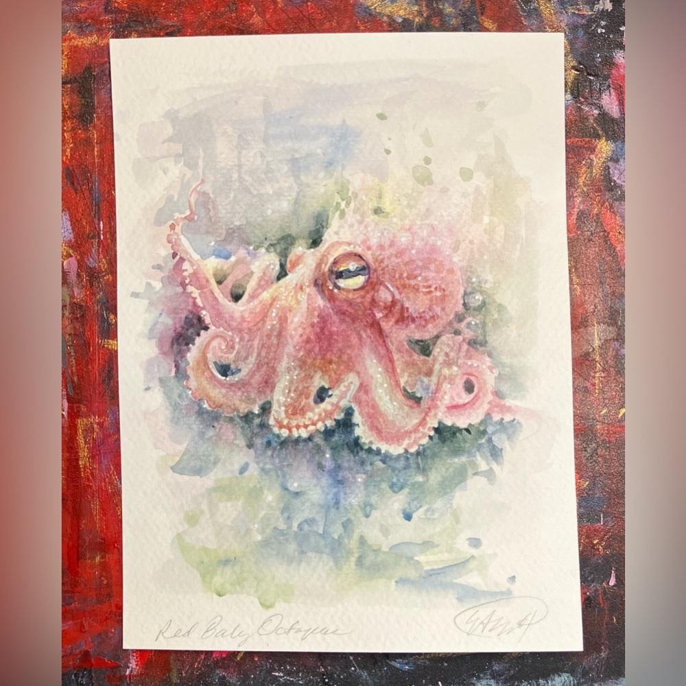Original octopus Watercolor Painting Red Baby squid Underwater ocean Art USA